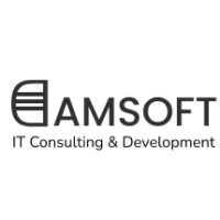 DAMSOFT logo - Similar company to Abhishek Shrivastava