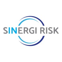 Sinergi Risk logo - Similar company to Cgib (Pty) Ltd