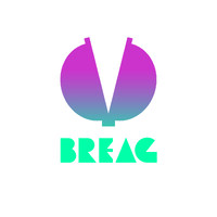 Breag logo - Similar company to Tservice.Nl