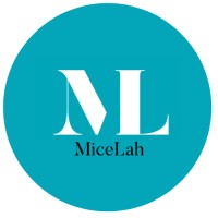 MiceLah logo - Similar company to Anytime Work