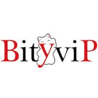 BITYVIP logo - Similar company to Pytech Srl