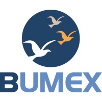 BUMEX s.a logo - Similar company to A2Cf Consulting