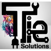 TIE Solutions logo - Similar company to Blue Ridge Integration