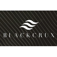blackcrux logo - Similar company to Trivviai