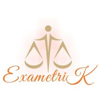 Exametrik logo - Similar company to Abitus Engineering Solutions