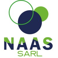 NAAS RH logo - Similar company to Rys Engineering
