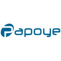 Papoye Technologies  Private  Limited logo - Similar company to Netprise Solutions
