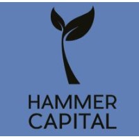 Hammer Capital
