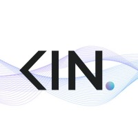 Kingenic logo - Similar company to Your Next Level