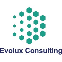 Evolux Consulting logo - Similar company to Evolux