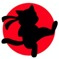 Karate Kitten Studios logo - Similar company to Aybben Technologies