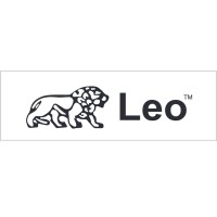 Leo Enterprises logo - Similar company to Psn