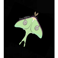 Luna Collective logo - Similar company to Seen.Co