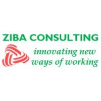 Ziba Consulting Limited logo - Similar company to Tsapo Industries Zambia