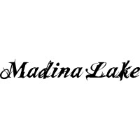 Madina Lake logo - Similar company to Aim & Amplify