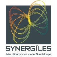 Synergîles logo - Similar company to Genergies