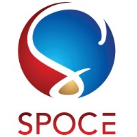 SPOCE Project Management Ltd. logo - Similar company to 360Sys