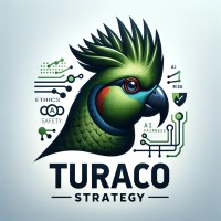 Turaco Strategy LLC logo - Similar company to Recalibrate Solutions