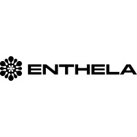 Enthela logo - Similar company to Hacking.Bg