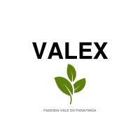 Valexbrazil logo - Similar company to E-Profit Engenharia E Eficiência Energética
