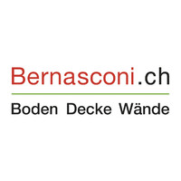 Bernasconi logo - Similar company to Stce Batiment