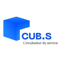 CUB.S logo - Similar company to Gamecodeur - Video Game Online School