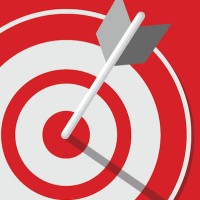 Strategies That Work Consulting logo - Similar company to Digiteley