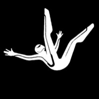 Fall Damage logo - Similar company to Fragbite Group