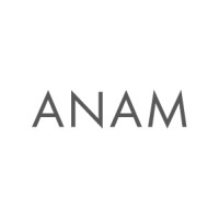 Anam Design Studio logo - Similar company to Studio Griz