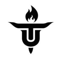 National Society of Black Engineers - University of Texas at Austin Chapter logo - Similar company to Unt Herscript