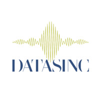 DATASINC logo - Similar company to Data Sync