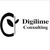Digilime Consulting logo - Similar company to Servana Tech