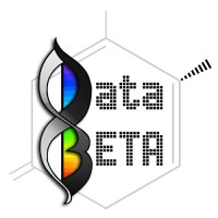 DataBETA.io logo - Similar company to Bazzi Group