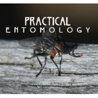 Practical Entomology LLC logo - Similar company to Bee Pera