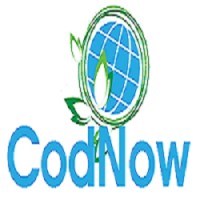 CodNow Technologies logo - Similar company to Krishna Technologies- Krishna Tech
