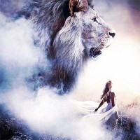 The Graceful Warrior Podcast