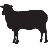 black sheep logo - Similar company to The Good Stuff