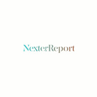Nexter Reports logo - Similar company to Reportlytics