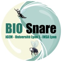 iGEM LYON 1 INSA Lyon 2024 logo - Similar company to Master Microbiologie Et Immunologie - Fsts/Uganc