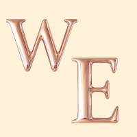 Women in Entrepreneurship - UW logo - Similar company to Uw Tech Exploration Lab