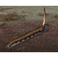 NU Cordyceps logo - Similar company to Genyzer Technologies Enterprise