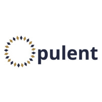 Opulent Technology Services, Inc. logo - Similar company to Kulu Foundation