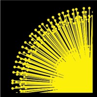 Black Wattle Archaeology logo - Similar company to Echoes Cultural Heritage Management