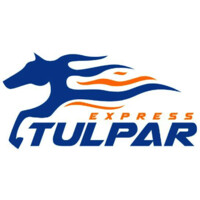 Tulpar Express logo - Similar company to Oreembh
