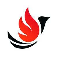 Pais - Sports Education Cosmo logo - Similar company to Af Consulting