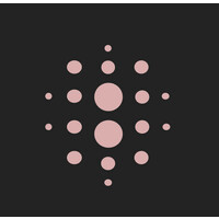 SeyftAI logo - Similar company to Datamonkey