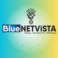 BlueNetvista logo - Similar company to Nirvaat Internet Private Limited