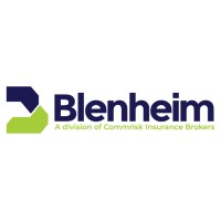 Blenheim logo - Similar company to Verde Underwriting