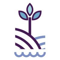 Mighty Mangroves logo - Similar company to Creative Cultural Revival