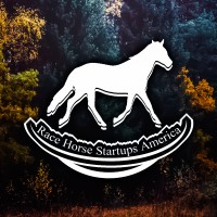 Race Horse Startups America Llc